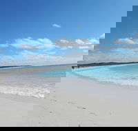 Shipwreck Special Nature Tour/Half Day Tour - Tourism Noosa