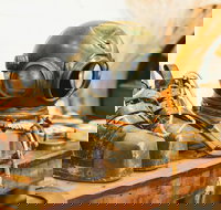 1.5-Hour Historical Pearl Luggers Tour in Broome - Tourism Noosa