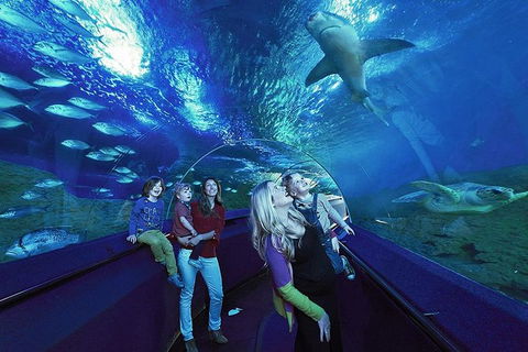 AQWA The Aquarium Of Western Australia: General Admission - Tourism Noosa 14