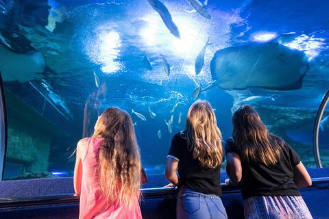 AQWA The Aquarium Of Western Australia: General Admission - Tourism Noosa 7