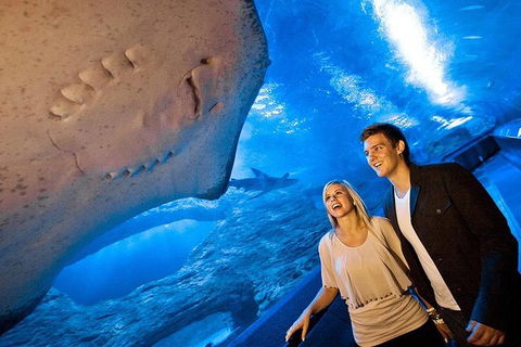 AQWA The Aquarium Of Western Australia: General Admission - Tourism Noosa 6