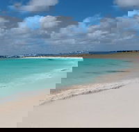 Pink Lake and Abrolhos Full Day Fly and Flipper - Tourism Noosa