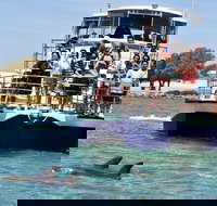 Mandurah Dolphin and Scenic Marine Cruise - Tourism Noosa