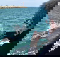 Mandurah Dolphin Island Adventure - Tourism Noosa