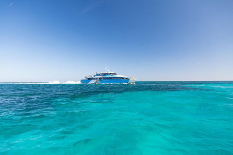 Rottnest Island Skydive Including Round Trip Ferry From Fremantle - Tourism Noosa 8
