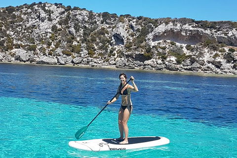 Rottnest Island Sailing Charter - Tourism Noosa 1