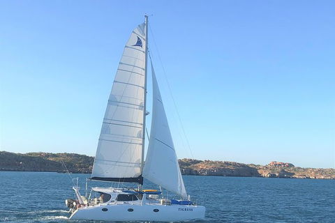Rottnest Island Sailing Charter - Tourism Noosa 0