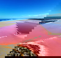 Pink Lake Aerial Flyover from Geraldton - Tourism Noosa