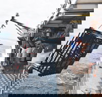 Rottnest Island Wild Seafood Package from Perth with Transfer - Tourism Noosa