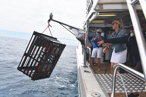 Rottnest Island Wild Seafood Package From Perth With Transfer - Tourism Noosa 0