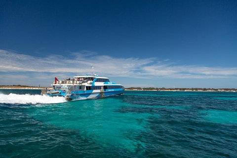 Rottnest Island Wild Seafood Package From Perth With Transfer - Tourism Noosa 1