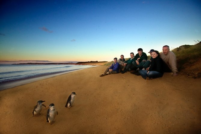  Tourism Noosa