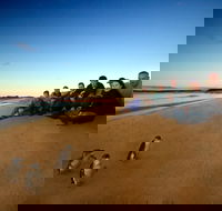 Phillip Island Ultimate Penguin Eco Tour or Skybox Experience - Tourism Noosa