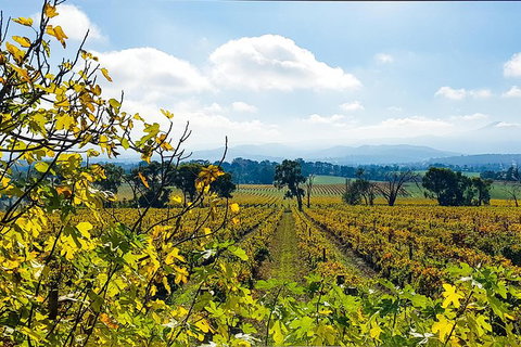Alternative Yarra Valley Wine Tasting Tour Departing From Melbourne - Tourism Noosa 4
