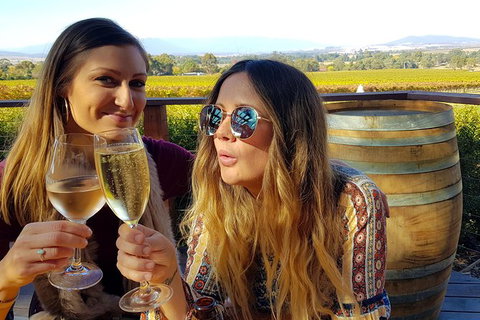 Alternative Yarra Valley Wine Tasting Tour Departing From Melbourne - Tourism Noosa 5