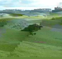 Day Tour of Phillip Island  Surrounding Region - Tourism Noosa