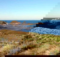 Phillip Island Walking  Bird Watching Tour - Tourism Noosa