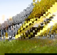 Overnight Daylesford and Macedon Ranges Gourmet Food Trail Tour from Melbourne - Tourism Noosa