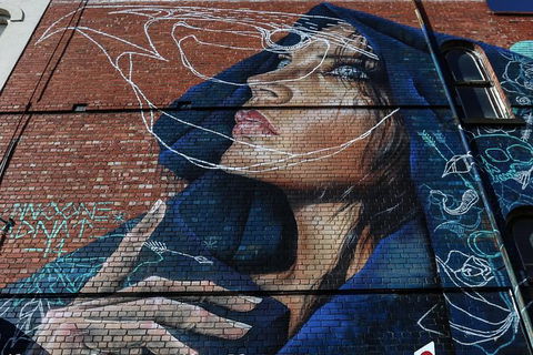 Fitzroy Street Art Tour - Tourism Noosa 0