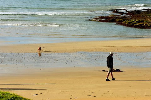Ultimate Reverse Direction - 12 Apostles, Great Ocean Road - Small Group Tour - Tourism Noosa 6