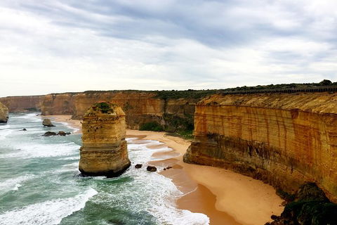 Ultimate Reverse Direction - 12 Apostles, Great Ocean Road - Small Group Tour - Tourism Noosa 5