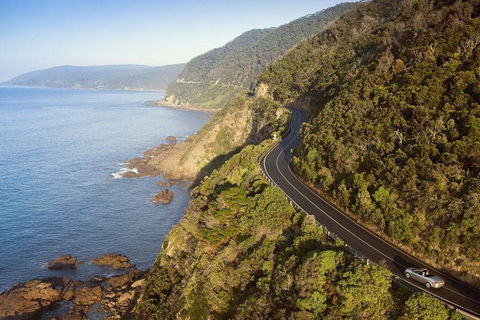 Ultimate Reverse Direction - 12 Apostles, Great Ocean Road - Small Group Tour - Tourism Noosa 10