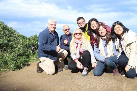 Ultimate Reverse Direction - 12 Apostles, Great Ocean Road - Small Group Tour - Tourism Noosa 11