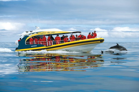 3-Hour Tasman Peninsula Wilderness Cruise From Port Arthur - Tourism Noosa 5