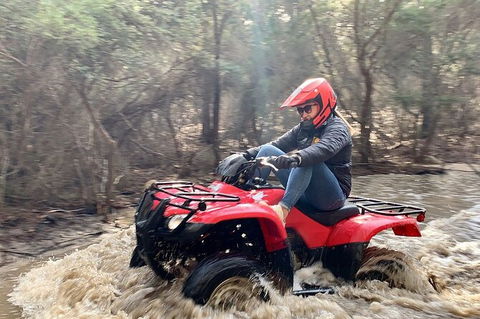 Half-Day Guided ATV Exploration Tour From Coles Bay - Tourism Noosa 7