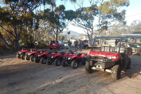 Half-Day Guided ATV Exploration Tour From Coles Bay - Tourism Noosa 4