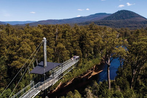 Cruise Ship Special From Hobart: Mt Wellington And Tahune AirWalk - Tourism Noosa 6