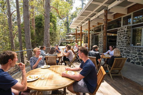 Cruise Ship Special From Hobart: Mt Wellington And Tahune AirWalk - Tourism Noosa 7