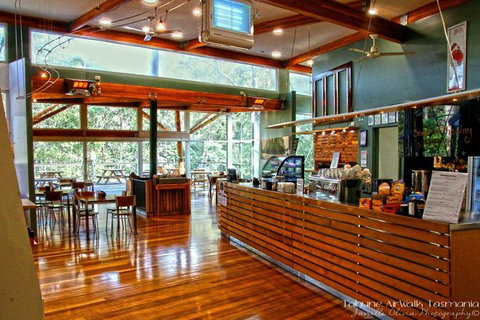 Cruise Ship Special From Hobart: Mt Wellington And Tahune AirWalk - Tourism Noosa 5