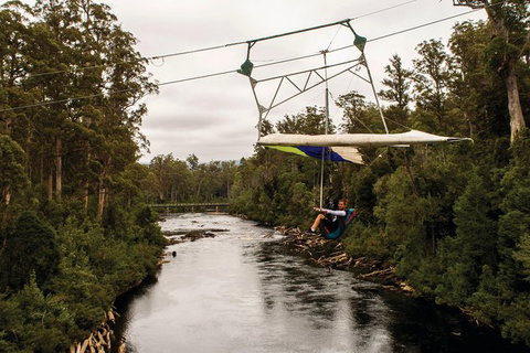 Cruise Ship Special From Hobart: Mt Wellington And Tahune AirWalk - Tourism Noosa 3