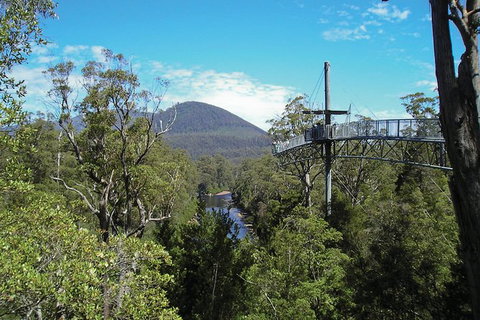 Cruise Ship Special From Hobart: Mt Wellington And Tahune AirWalk - Tourism Noosa 4