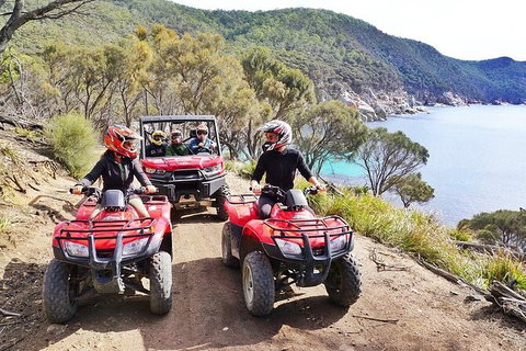 Quad Bike 2-Hour Adventure: Freycinet National Park - Tourism Noosa 2