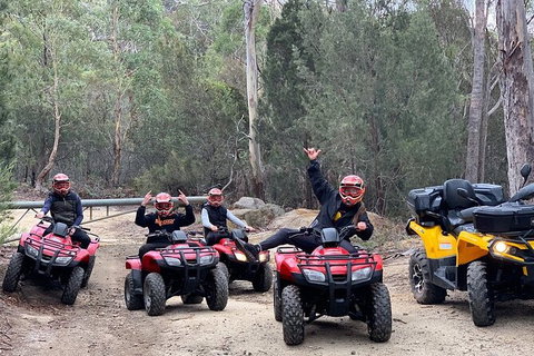 Quad Bike 2-Hour Adventure: Freycinet National Park - Tourism Noosa 4