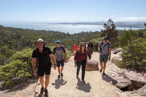 Active Day Tour One-Way From Hobart To Launceston With Wineglass Bay - Tourism Noosa 3