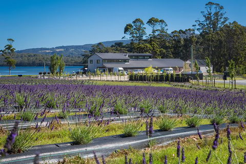 Private Tasman Peninsula Cruise Ship Tour From Port Arthur - Tourism Noosa 0