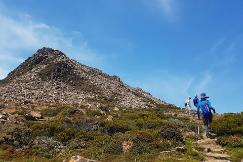 Hartz Peak Hiking Tour - Hartz Mountains National Park - Tourism Noosa 0