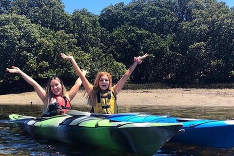 Adelaide Dolphin Sanctuary And Ships Graveyard Kayak Tour - Tourism Noosa 4