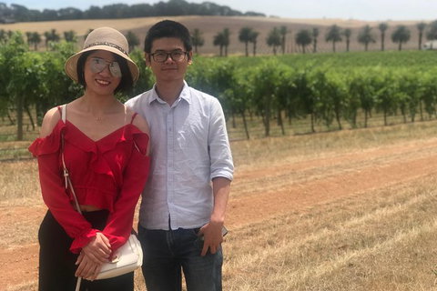 Adelaide City Highlights With Hahndorf And Mt. Lofty - Tourism Noosa 10