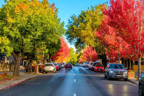 Adelaide City Highlights With Hahndorf And Mt. Lofty - Tourism Noosa 7