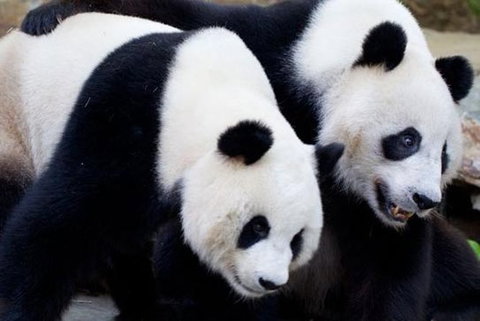 Adelaide City Tour With Optional River Cruise And Adelaide Zoo Admission - Tourism Noosa 1