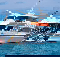 Poseidon Outer Great Barrier Reef Snorkeling and Diving Cruise from Port Douglas - Tourism Noosa