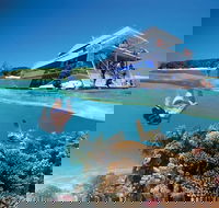 3-Day Southern Great Barrier Reef Tour Including Lady Musgrave Island - Tourism Noosa