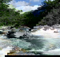 Daintree Rainforest Cape Tribulation Mossman Gorge in a day - Tourism Noosa