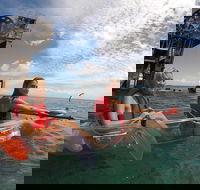Moreton Island Day Trip Kayak Snorkel  Sandboard frm Brisbane or Gold Coast - Tourism Noosa