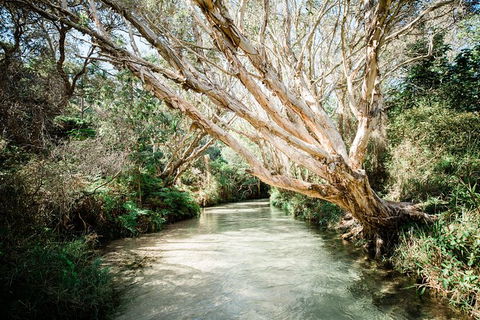 All-Inclusive 2-Day Fraser Island Tour - Tourism Noosa 11