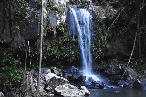 You Choose The Tour: Brisbane Private Chauffeur Driven Personal Tour - Tourism Noosa 0